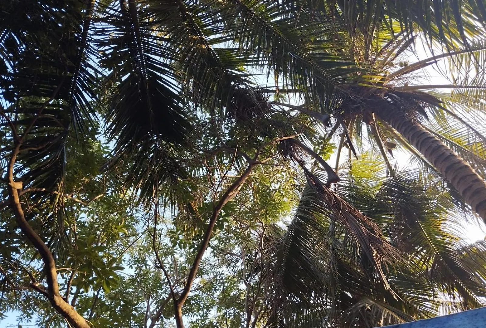 Xxxxxxx Hotel Tulum