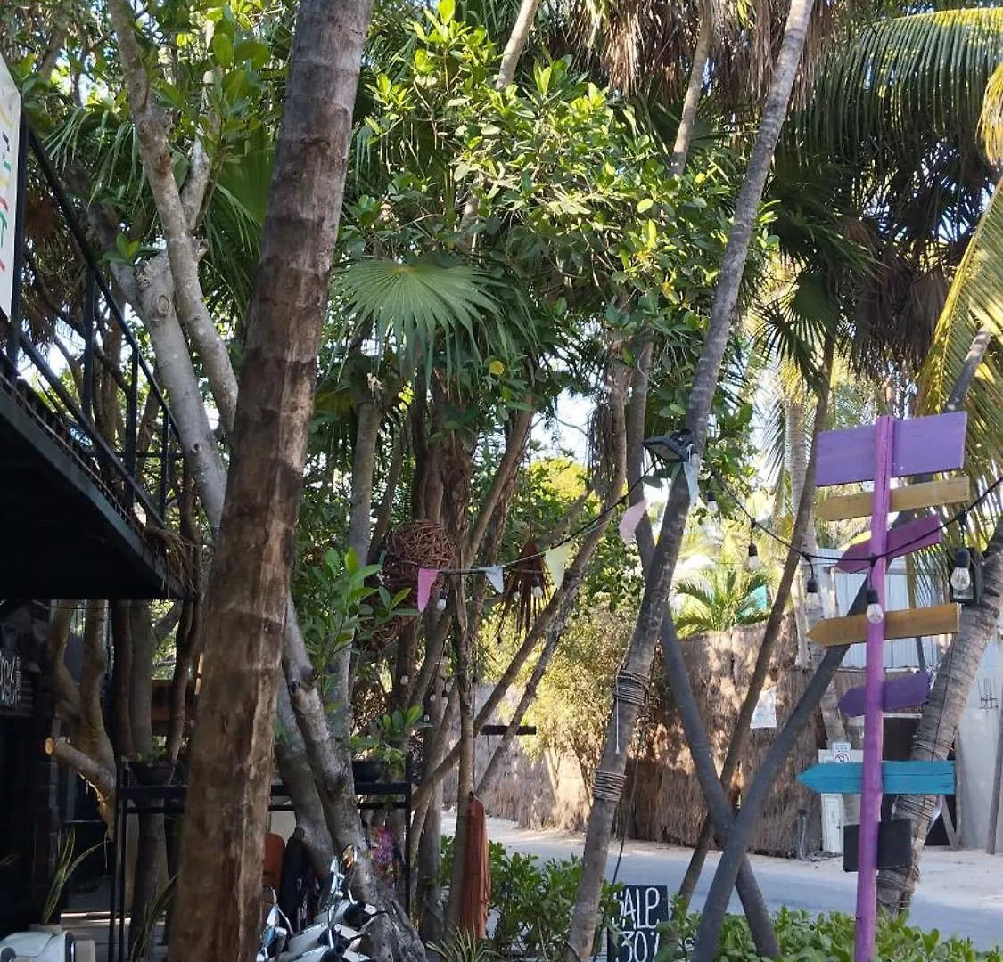 Xxxxxxx Hotel Tulum Guest house
